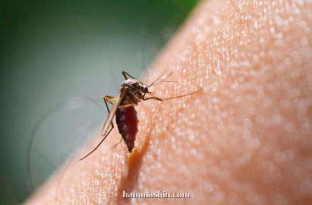 استانهای اندمیک مالاریا در ایران