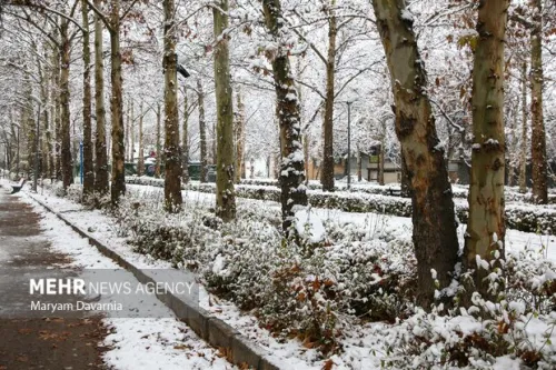 فعالیت آخرین موج بارشی در کشور بارندگی های پراکنده و موقتی در ۵ استان