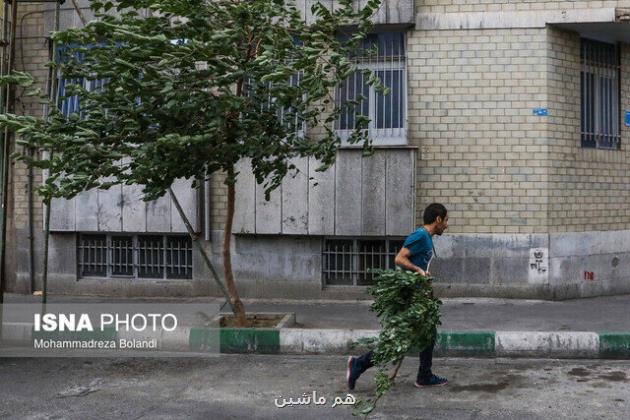 وزش باد عصرگاهی در تهران