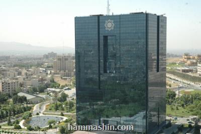آمادگی بانک مرکزی برای اعطای وام مسکن روستایی