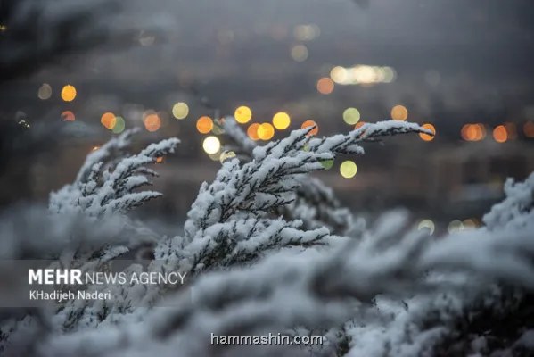 اخطار هواشناسی به ۲۵ استان خسارت به محصولات کشاورزی با تشدید بارندگی ها