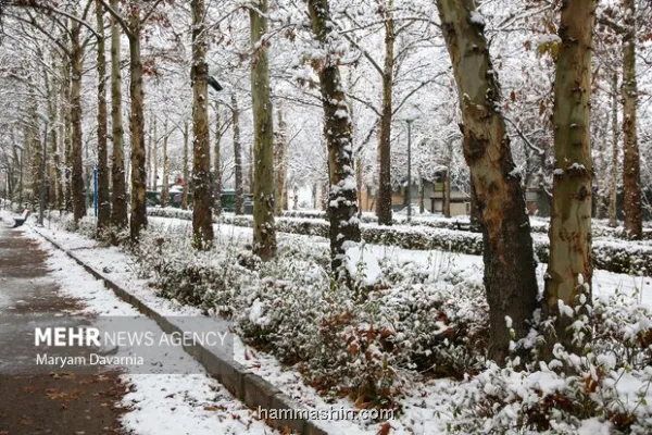 فعالیت آخرین موج بارشی در کشور بارندگی های پراکنده و موقتی در ۵ استان
