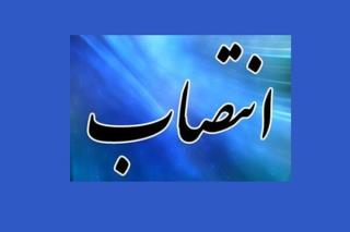 سرپرست سازمان تداركات پزشكی انتخاب شد
