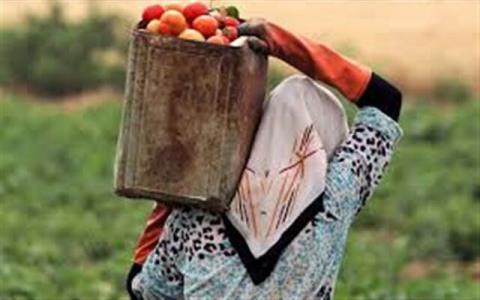 لزوم آموزش زنان روستایی برای تولید محصولات سالم