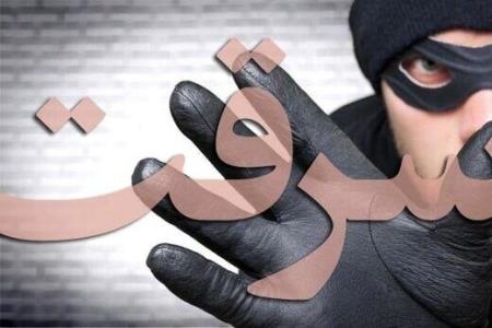 كاهش 29 درصدی سرقت در بوشهر