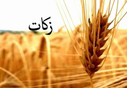 استفاده از ظرفیت روحانیون اعزامی سازمان تبلیغات برای ترویج و احیای فرهنگ زكات